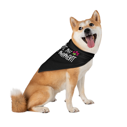 I Make My Human's Moment Black Pet Bandana