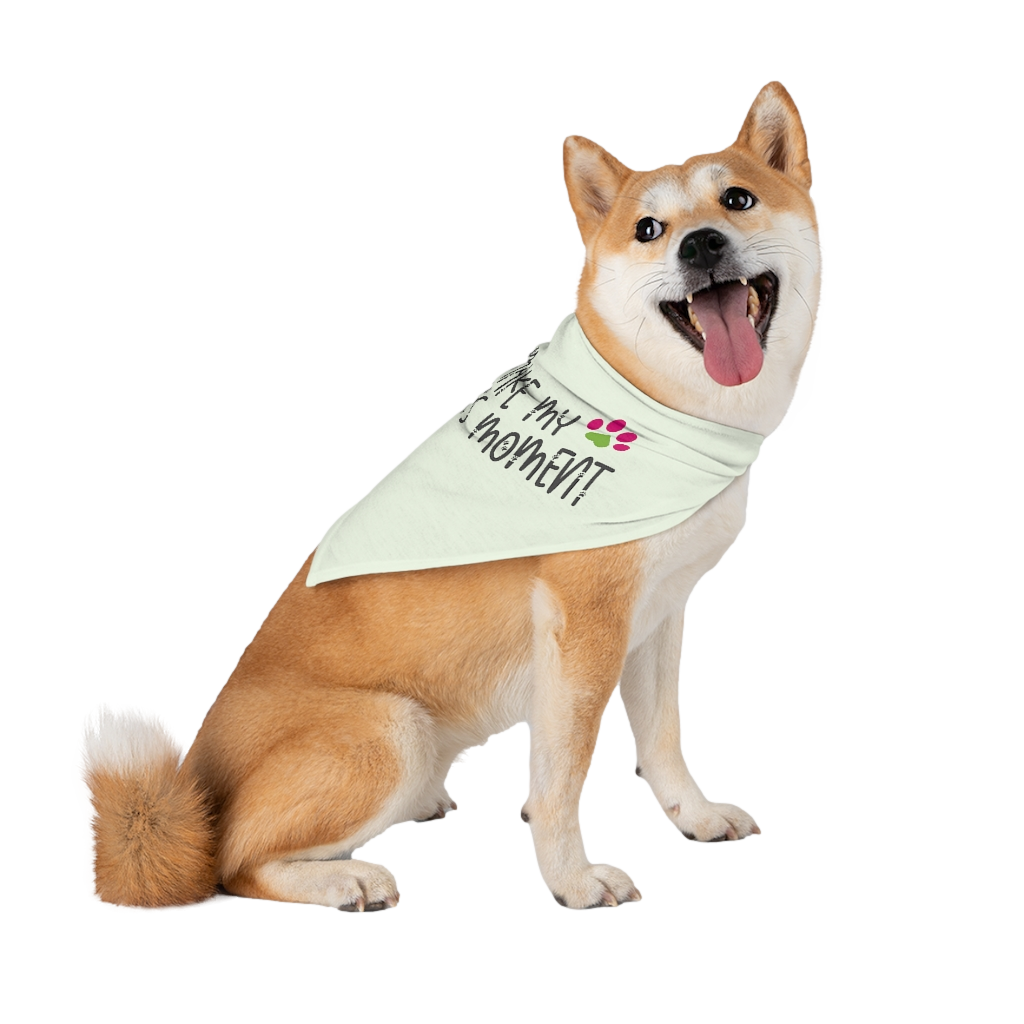 I Make My Human's Moment Green Pet Bandana