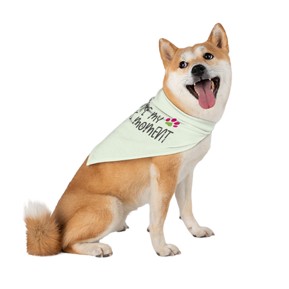 I Make My Human's Moment Green Pet Bandana