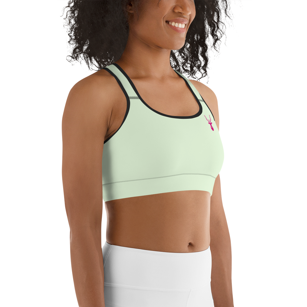 Caribou Sports Bra