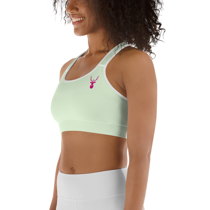 Caribou Sports Bra