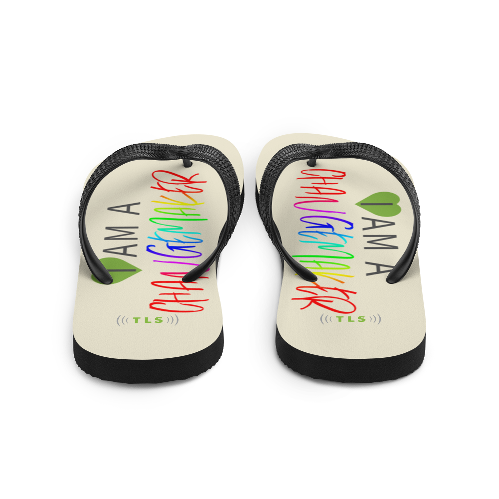 The ChangeMaker Flip-Flops