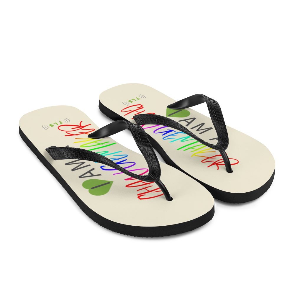 The ChangeMaker Flip-Flops