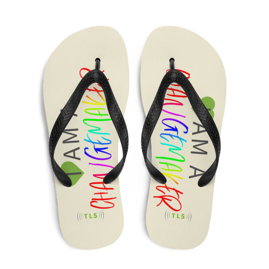The ChangeMaker Flip-Flops
